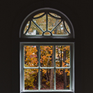 window-view-vegetation