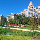 city park nature-based solutions