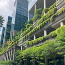 nbs-biodiversity-singapore