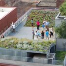 ASLA Green Roof-After