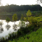 Duke-Pond-After