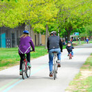 Family on bikes on trail